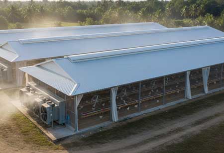 Optimizing Poultry Health and Profitability Through Environmental Control Strategies